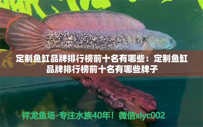 定制魚(yú)缸品牌排行榜前十名有哪些：定制魚(yú)缸品牌排行榜前十名有哪些牌子