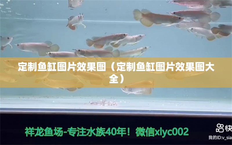 定制魚缸圖片效果圖（定制魚缸圖片效果圖大全）