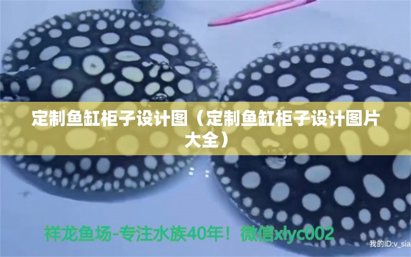 定制魚(yú)缸柜子設(shè)計(jì)圖（定制魚(yú)缸柜子設(shè)計(jì)圖片大全） 白玉紅龍魚(yú) 第1張