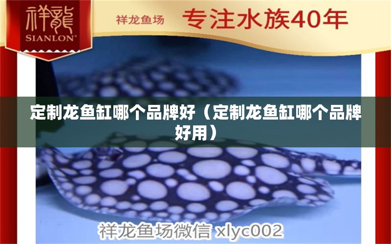 定制龍魚缸哪個品牌好（定制龍魚缸哪個品牌好用）