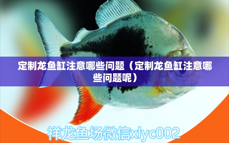 定制龍魚缸注意哪些問題（定制龍魚缸注意哪些問題呢）