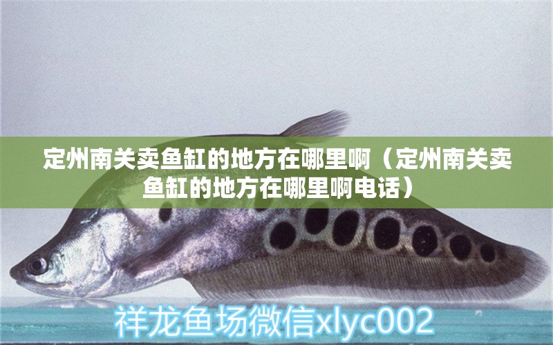 定州南關(guān)賣魚缸的地方在哪里?。ǘㄖ菽详P(guān)賣魚缸的地方在哪里啊電話）