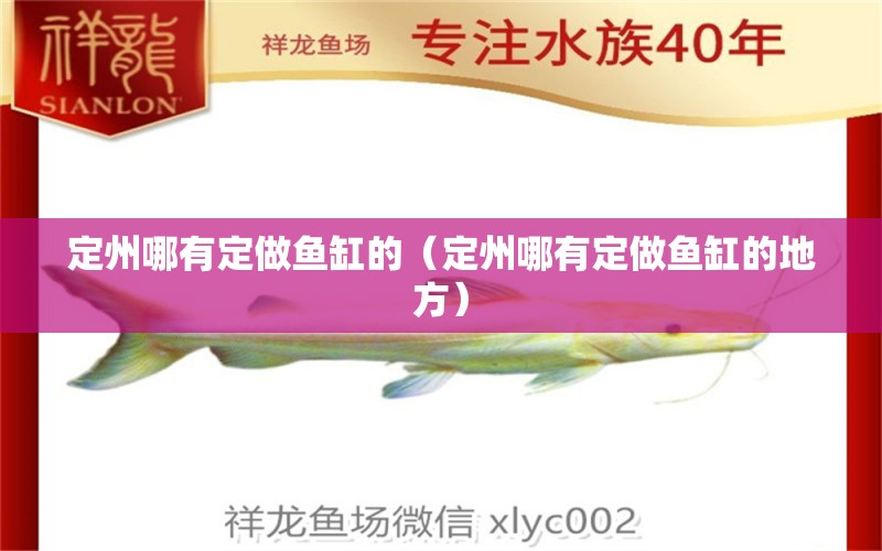 定州哪有定做魚(yú)缸的（定州哪有定做魚(yú)缸的地方） 其他品牌魚(yú)缸