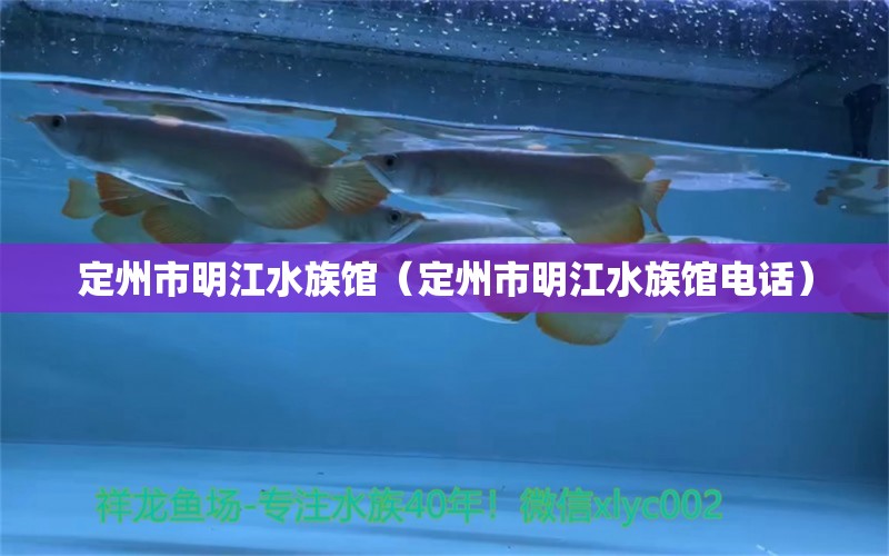 定州市明江水族館（定州市明江水族館電話）