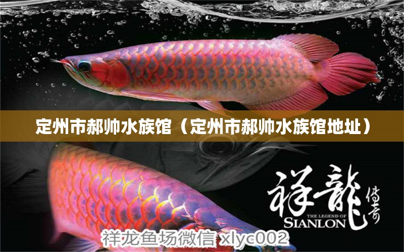 定州市郝帥水族館（定州市郝帥水族館地址） 全國水族館企業(yè)名錄