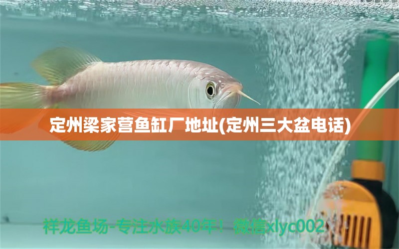 定州梁家營(yíng)魚(yú)缸廠地址(定州三大盆電話(huà)) 白子球鯊魚(yú)