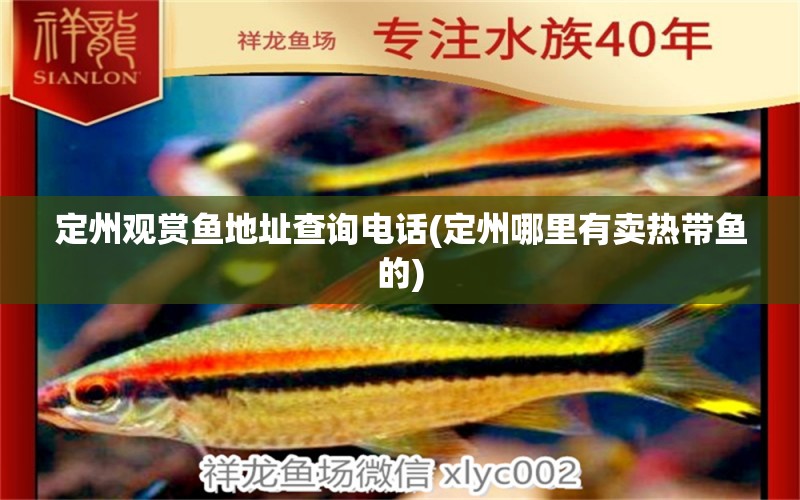 定州觀賞魚(yú)地址查詢(xún)電話(huà)(定州哪里有賣(mài)熱帶魚(yú)的) 眼斑魚(yú)