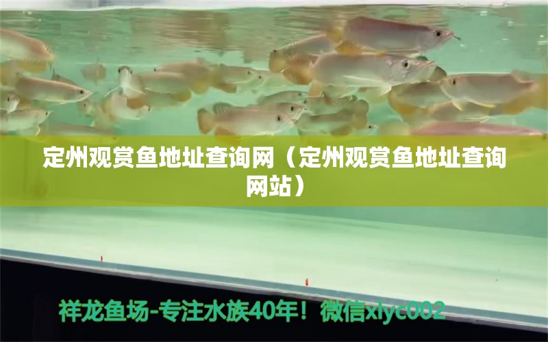 定州觀賞魚地址查詢網(wǎng)（定州觀賞魚地址查詢網(wǎng)站）