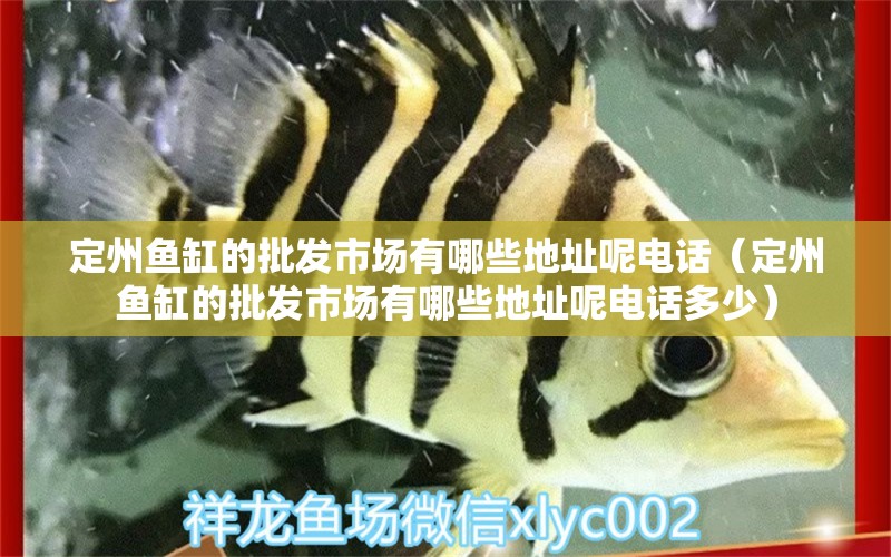 定州魚缸的批發(fā)市場有哪些地址呢電話（定州魚缸的批發(fā)市場有哪些地址呢電話多少） 紅龍福龍魚