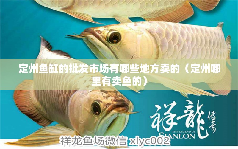 定州魚缸的批發(fā)市場有哪些地方賣的（定州哪里有賣魚的）