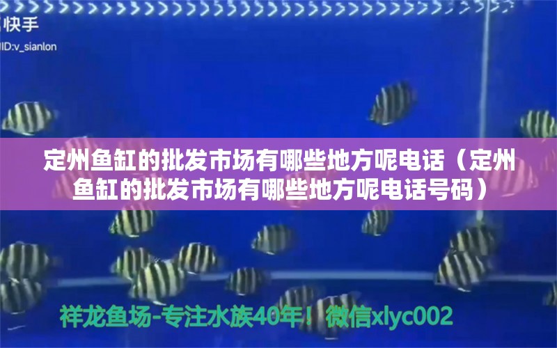 定州魚缸的批發(fā)市場有哪些地方呢電話（定州魚缸的批發(fā)市場有哪些地方呢電話號碼） 帝王三間魚