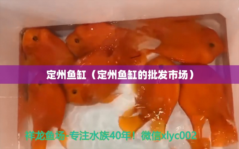 定州魚缸（定州魚缸的批發(fā)市場(chǎng)） 其他品牌魚缸