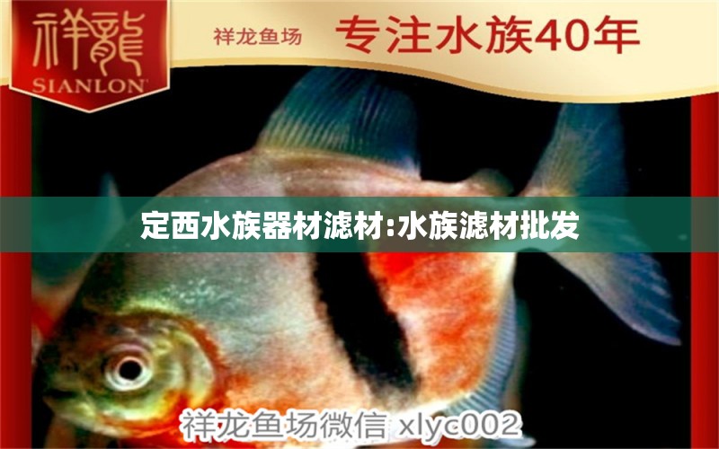 定西水族器材濾材:水族濾材批發(fā) 廣州觀賞魚批發(fā)市場(chǎng) 第1張