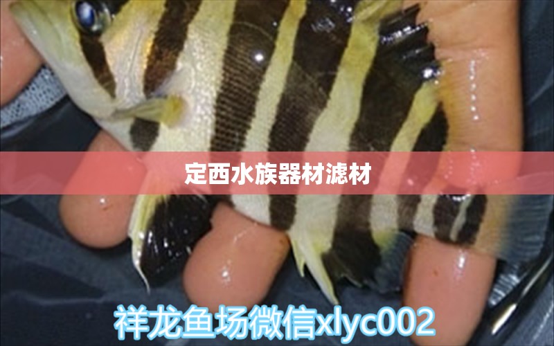 定西水族器材濾材