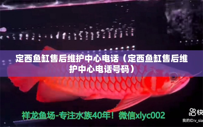 定西魚缸售后維護(hù)中心電話（定西魚缸售后維護(hù)中心電話號(hào)碼）