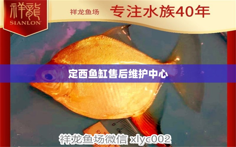 定西魚缸售后維護中心