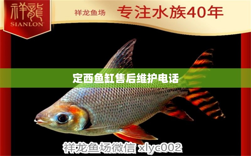 定西魚缸售后維護(hù)電話