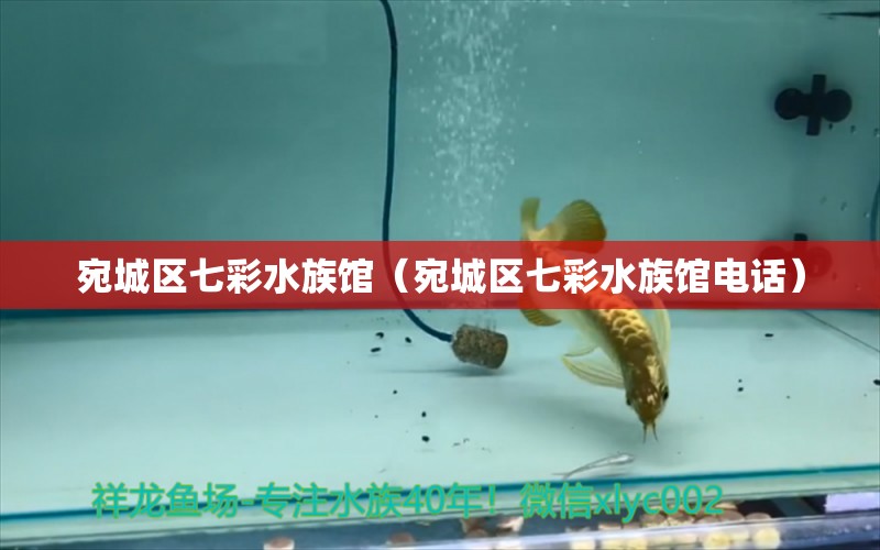 宛城區(qū)七彩水族館（宛城區(qū)七彩水族館電話）