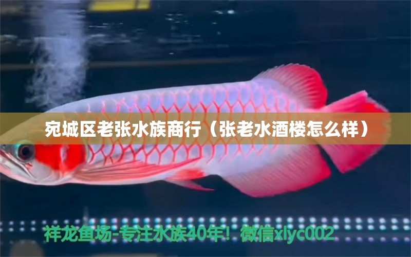 宛城區(qū)老張水族商行（張老水酒樓怎么樣）