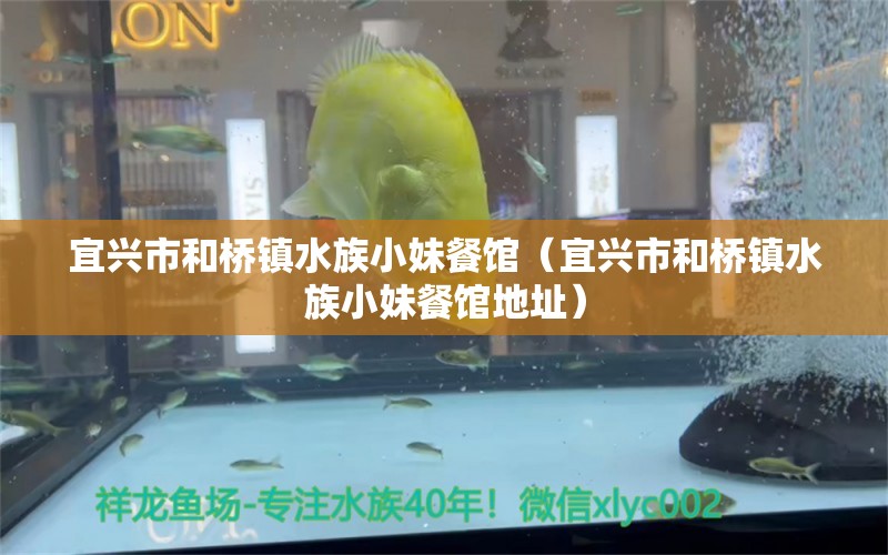 宜興市和橋鎮(zhèn)水族小妹餐館（宜興市和橋鎮(zhèn)水族小妹餐館地址） 全國水族館企業(yè)名錄