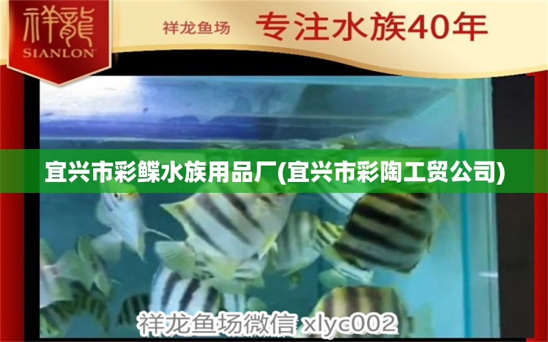 宜興市彩鰈水族用品廠(宜興市彩陶工貿(mào)公司) 水族用品