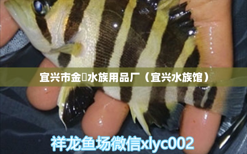 宜興市金鱚水族用品廠（宜興水族館）