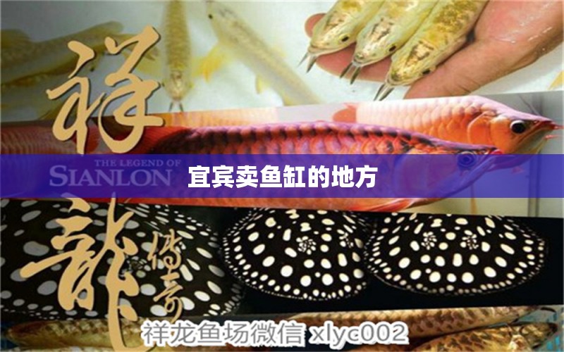 宜賓賣魚缸的地方 其他品牌魚缸