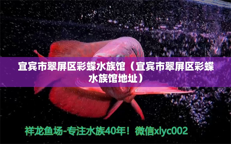 宜賓市翠屏區(qū)彩蝶水族館（宜賓市翠屏區(qū)彩蝶水族館地址）