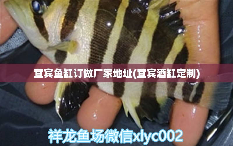 宜賓魚(yú)缸訂做廠家地址(宜賓酒缸定制) 祥龍魚(yú)場(chǎng)