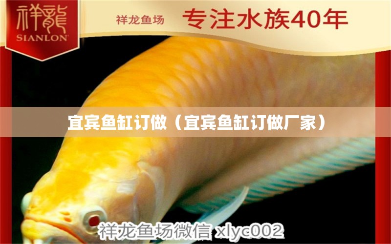 宜賓魚(yú)缸訂做（宜賓魚(yú)缸訂做廠家）