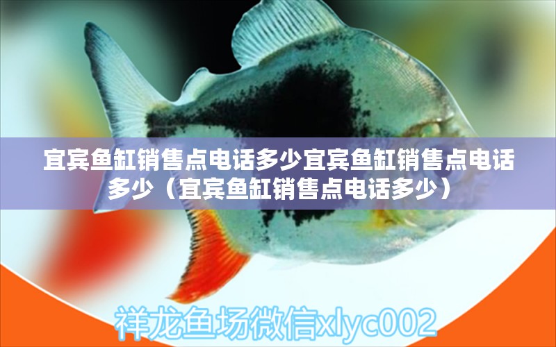 宜賓魚缸銷售點(diǎn)電話多少宜賓魚缸銷售點(diǎn)電話多少（宜賓魚缸銷售點(diǎn)電話多少） 蘇虎 第1張