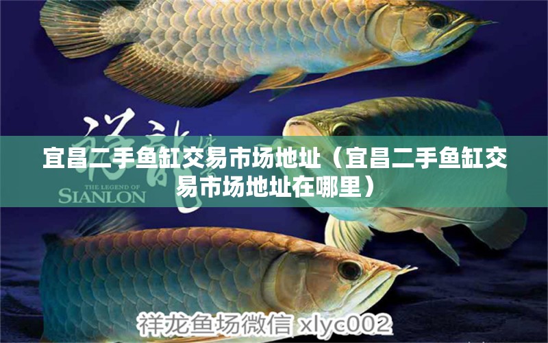 宜昌二手魚缸交易市場地址（宜昌二手魚缸交易市場地址在哪里）