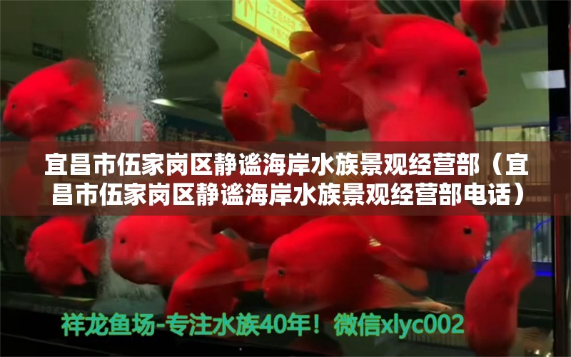 宜昌市伍家崗區(qū)靜謐海岸水族景觀經(jīng)營部（宜昌市伍家崗區(qū)靜謐海岸水族景觀經(jīng)營部電話）