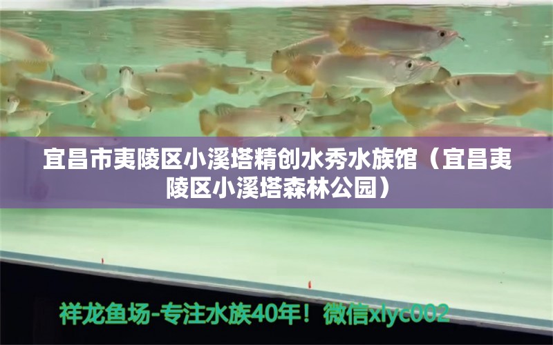 宜昌市夷陵區(qū)小溪塔精創(chuàng)水秀水族館（宜昌夷陵區(qū)小溪塔森林公園）