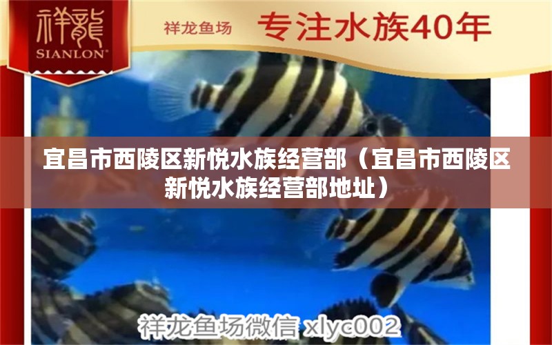 宜昌市西陵區(qū)新悅水族經(jīng)營部（宜昌市西陵區(qū)新悅水族經(jīng)營部地址）