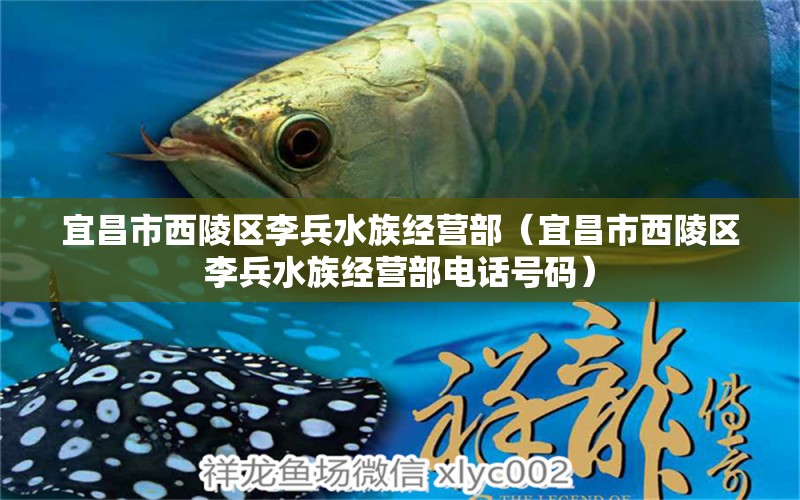 宜昌市西陵區(qū)李兵水族經(jīng)營(yíng)部（宜昌市西陵區(qū)李兵水族經(jīng)營(yíng)部電話號(hào)碼） 全國(guó)水族館企業(yè)名錄