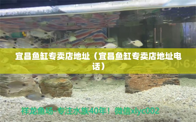 宜昌魚缸專賣店地址（宜昌魚缸專賣店地址電話）