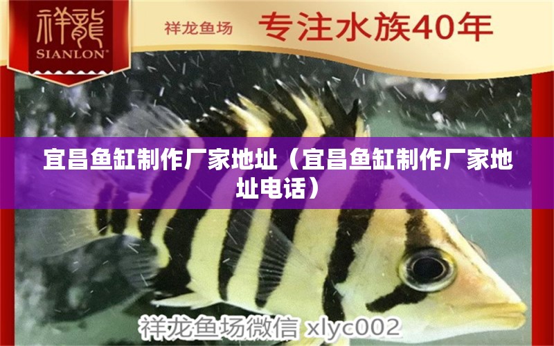 宜昌魚(yú)缸制作廠(chǎng)家地址（宜昌魚(yú)缸制作廠(chǎng)家地址電話(huà)）