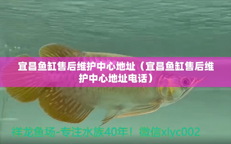 宜昌魚缸售后維護(hù)中心地址（宜昌魚缸售后維護(hù)中心地址電話）