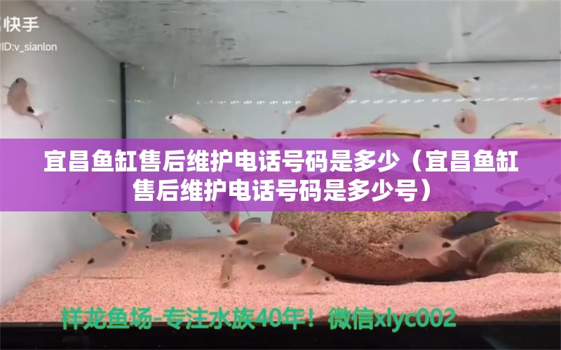 宜昌魚缸售后維護(hù)電話號(hào)碼是多少（宜昌魚缸售后維護(hù)電話號(hào)碼是多少號(hào)）