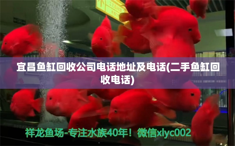 宜昌魚缸回收公司電話地址及電話(二手魚缸回收電話) 泰龐海蓮魚 第2張