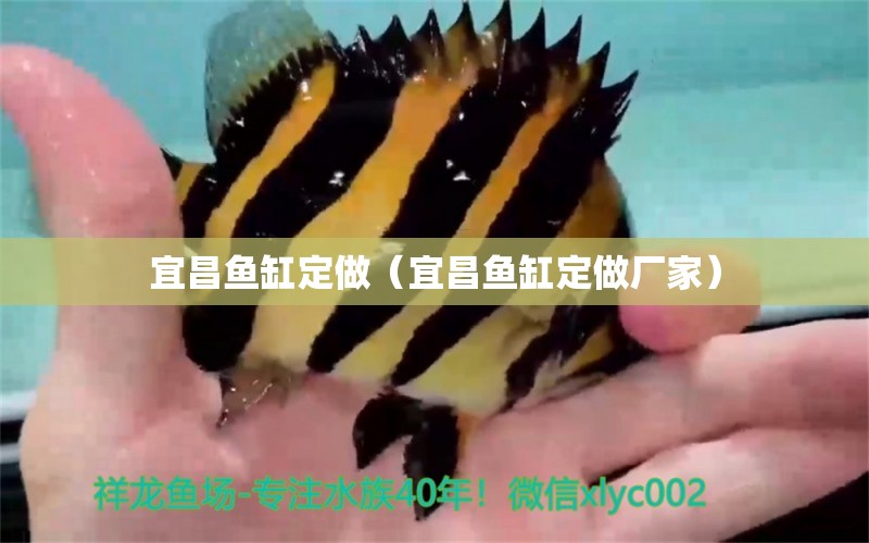 宜昌魚缸定做（宜昌魚缸定做廠家）