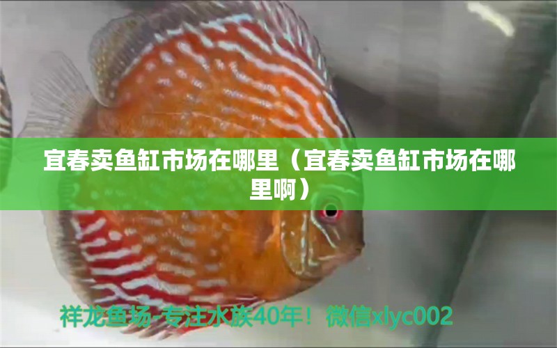 宜春賣魚缸市場在哪里（宜春賣魚缸市場在哪里?。?其他品牌魚缸