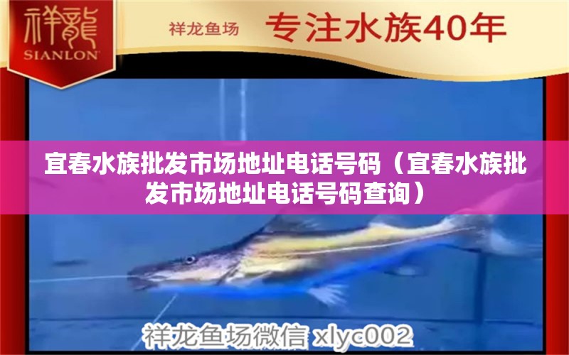 宜春水族批發(fā)市場(chǎng)地址電話號(hào)碼（宜春水族批發(fā)市場(chǎng)地址電話號(hào)碼查詢） 觀賞魚(yú)水族批發(fā)市場(chǎng)