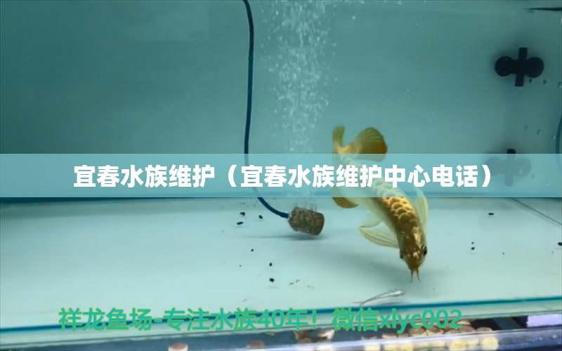 宜春水族維護(hù)（宜春水族維護(hù)中心電話） 祥龍水族醫(yī)院