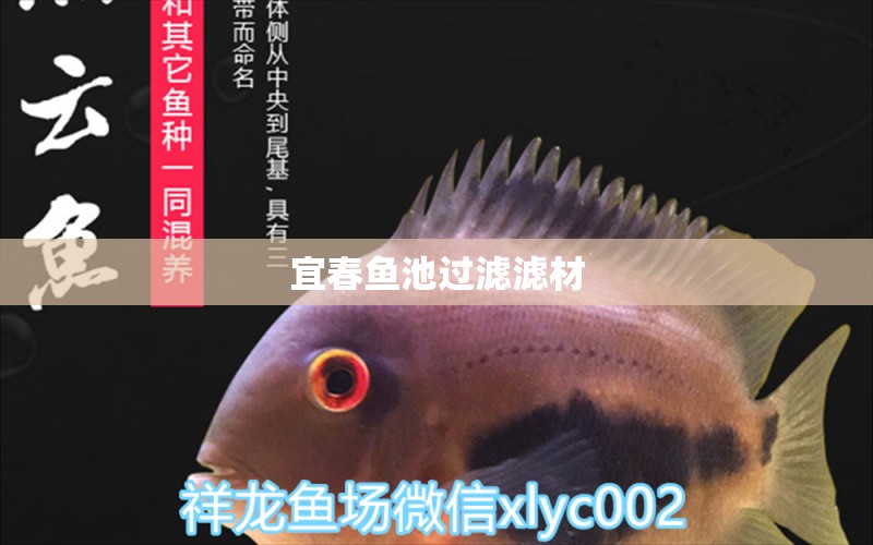 宜春魚池過濾濾材 廣州水族器材濾材批發(fā)市場