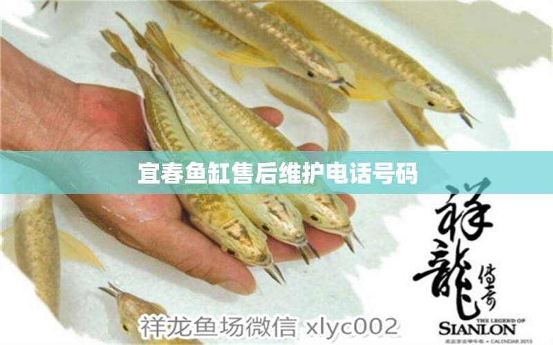 宜春魚缸售后維護(hù)電話號(hào)碼