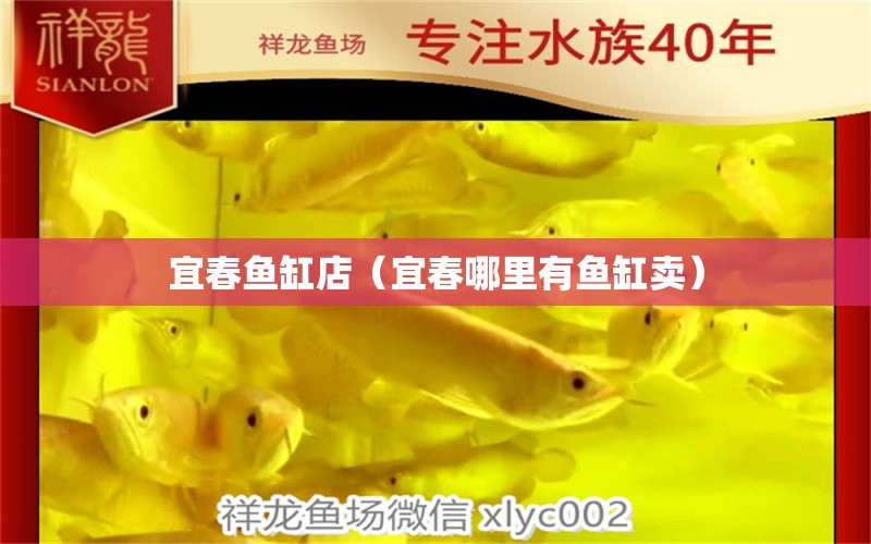 宜春魚缸店（宜春哪里有魚缸賣）