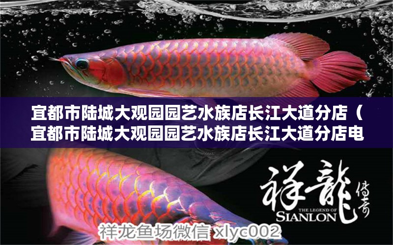 宜都市陸城大觀園園藝水族店長(zhǎng)江大道分店（宜都市陸城大觀園園藝水族店長(zhǎng)江大道分店電話(huà)）