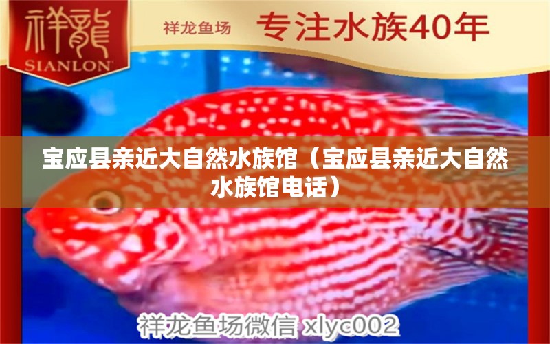 寶應縣親近大自然水族館（寶應縣親近大自然水族館電話） 全國水族館企業(yè)名錄